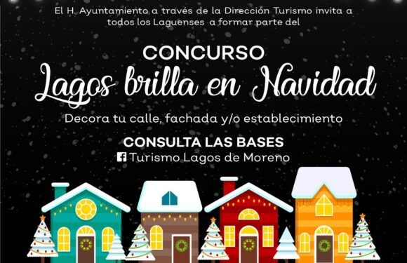 Lanzan convocatoria para participar en concurso ´Lagos Brilla en Navidad´