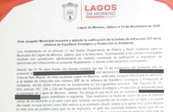 Ponen multa de 100 mil pesos a agresor de gato