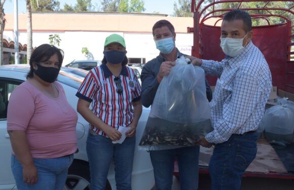 Concluye programa de cría de peces con exitosa entrega en San Miguel del Cuarenta