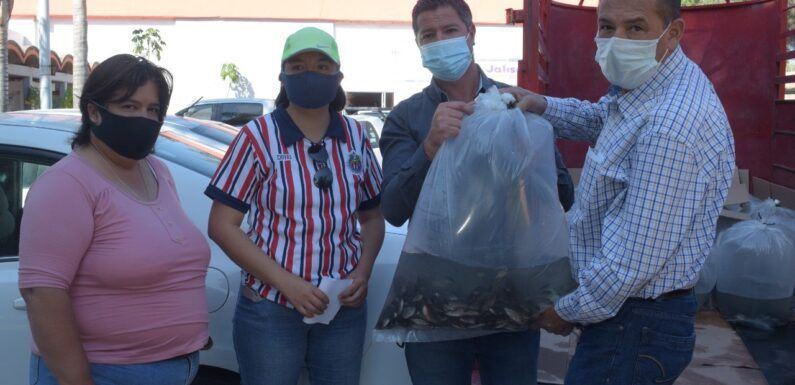 Concluye programa de cría de peces con exitosa entrega en San Miguel del Cuarenta