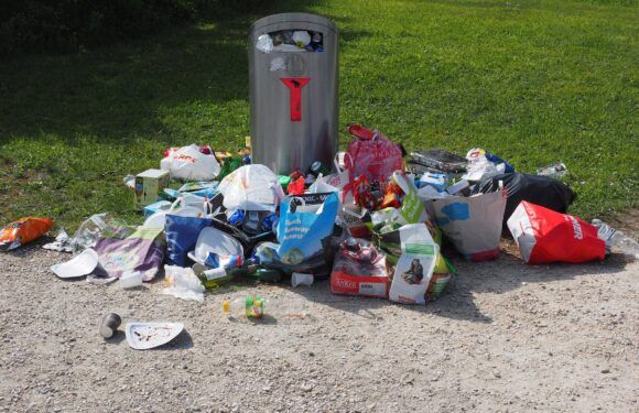 Multarán a quien no respete horarios para recolección de basura
