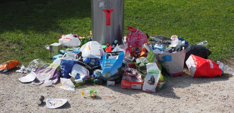 Multarán a quien no respete horarios para recolección de basura
