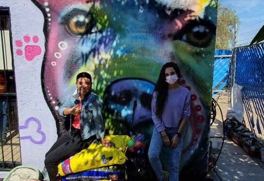 Jóvenes laguenses donan artículos caninos al Centro Control Animal