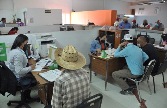 Gobierno de Lagos apoya a campesinos con programa de semilla mejorada