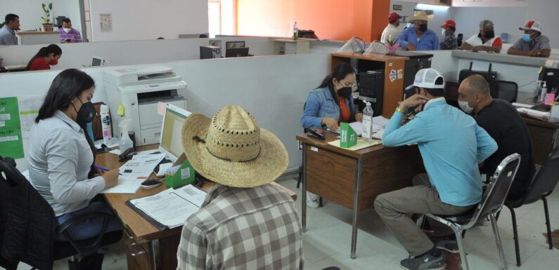 Gobierno de Lagos apoya a campesinos con programa de semilla mejorada