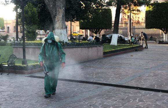 Continúa la sanitización de espacios públicos por parte de Ecología