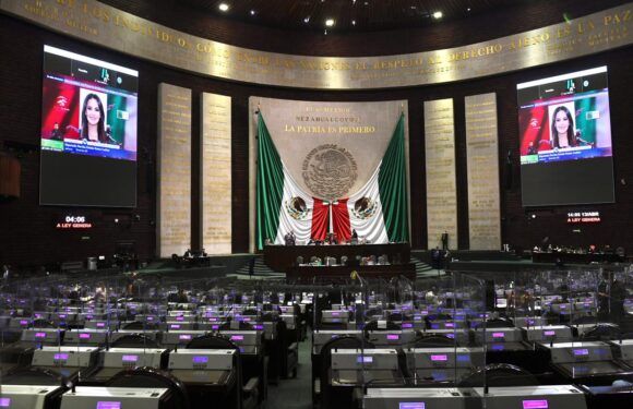 Propone Martha Romo reformar la donación de órganos