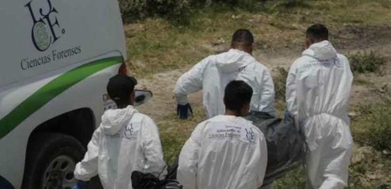 Encuentran fosa con al menos 10 cuerpos en San Juan de los Lagos