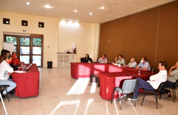 Buscará PRI reactivar la economía laguense tras la pandemia