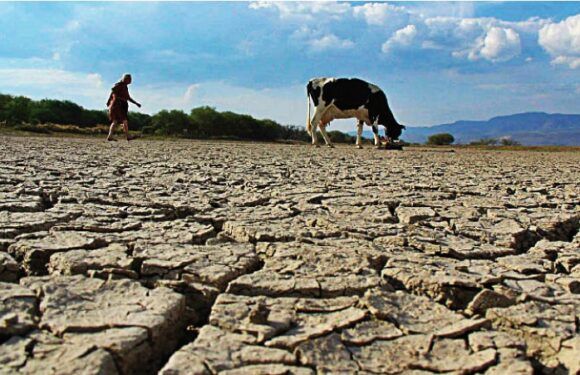 Gobierno Federal perfila una declaratoria de emergencia por sequía en Jalisco