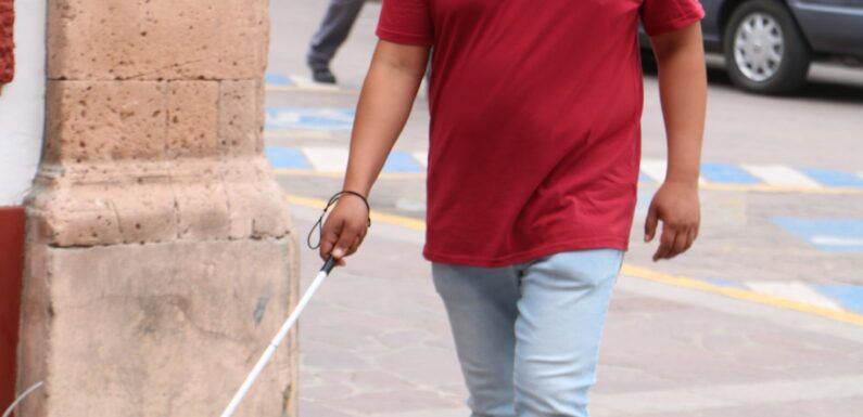 Hablemos de discapacidad: campaña de acción de incluyente en busca de la discriminación cero