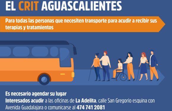 Reactivan tramite en oficinas de Participación ciudadana