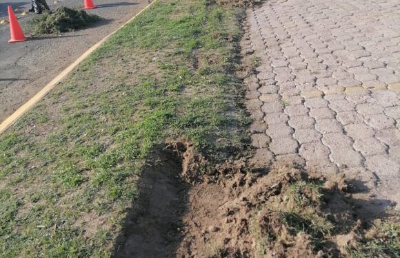 Realiza aseo público acciones de limpieza en varios puntos de la ciudad