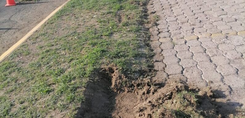 Realiza aseo público acciones de limpieza en varios puntos de la ciudad