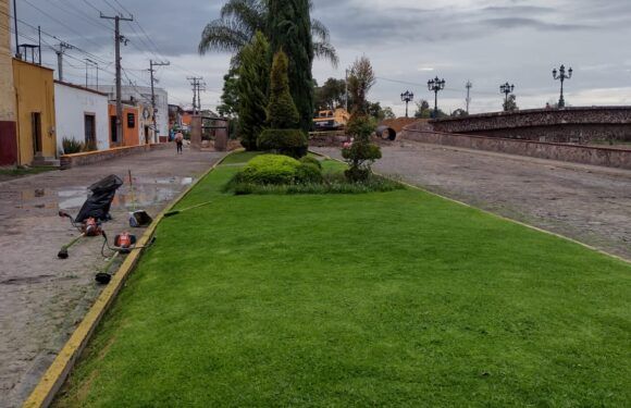 Dan mantenimiento a áreas verdes en la ciudad