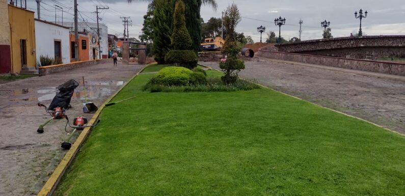 Dan mantenimiento a áreas verdes en la ciudad