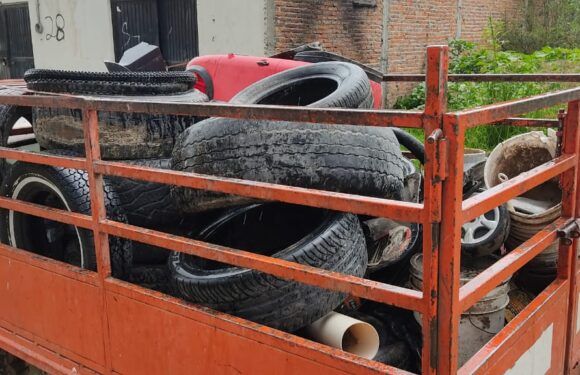 Recolectan más de una tonelada de «Cacharros» en Cañada de Ricos