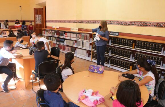 Inician cursos de regularización Verano 2021 a cargo de Educación Municipal