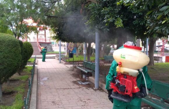 Continúa la fumigación de espacios públicos a cargo de Ecología