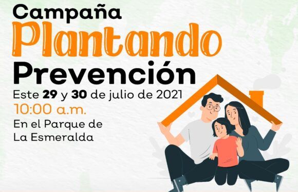 Lanzan campaña de recuperación de espacios Plantando Prevención