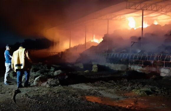 Atiende Protección Civil Municipal y Bomberos incendio en la colonia El Arenal