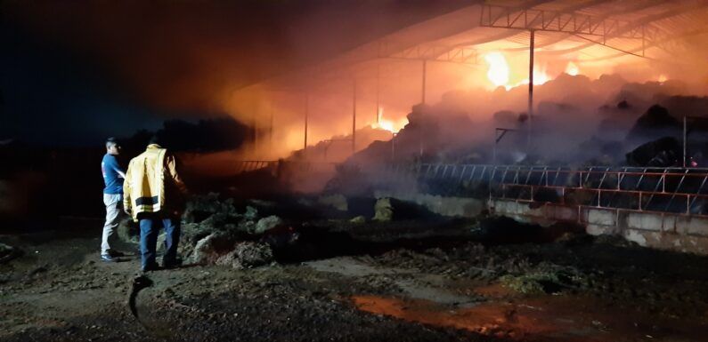 Atiende Protección Civil Municipal y Bomberos incendio en la colonia El Arenal