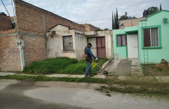 Dirección de Aseo Público impulsa programa de limpieza en baldíos en colonias y espacios públicos