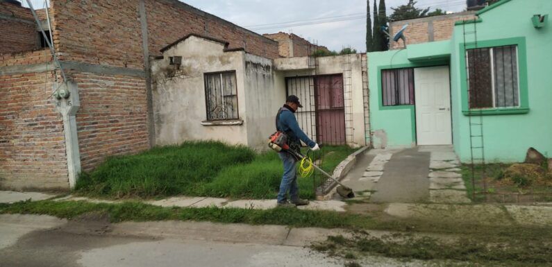 Dirección de Aseo Público impulsa programa de limpieza en baldíos en colonias y espacios públicos