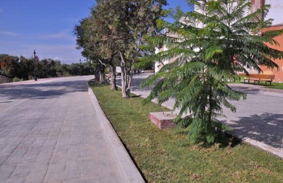 Avanza la obra en el Nuevo Paseo de la Ribera, se trabaja en áreas verdes y alumbrado público