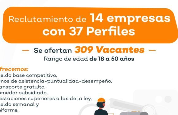 Ofertarán más de 300 vacantes laborales este miércoles de reclutamiento laboral