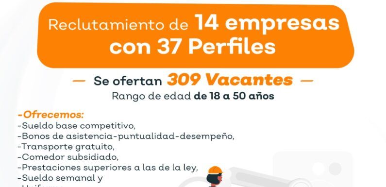 Ofertarán más de 300 vacantes laborales este miércoles de reclutamiento laboral