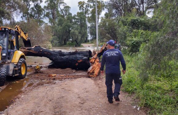 Unidad de Protección Civil y Desarrollo Rural atienden reportes por el temporal de lluvia