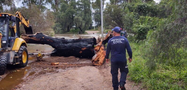Unidad de Protección Civil y Desarrollo Rural atienden reportes por el temporal de lluvia