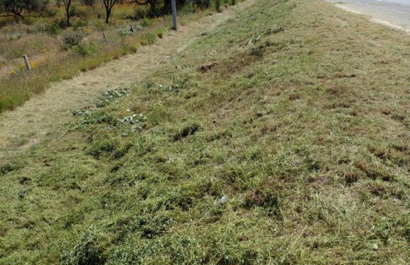 Rehabilitan espacios públicos en Laureles del Campanario