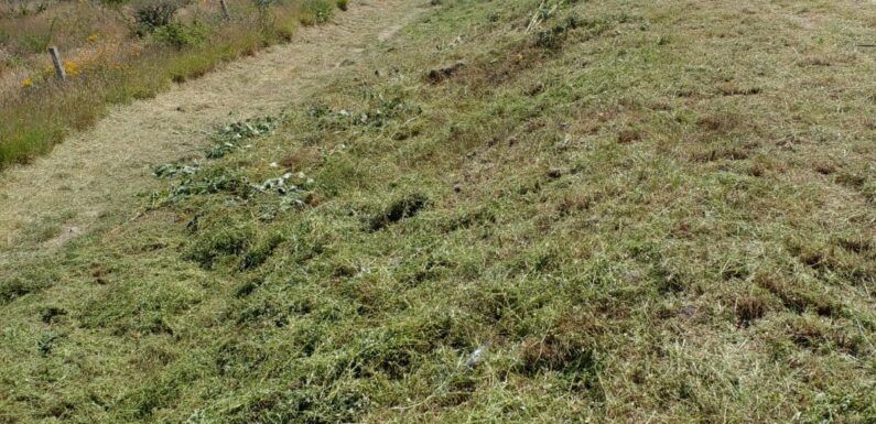 Rehabilitan espacios públicos en Laureles del Campanario