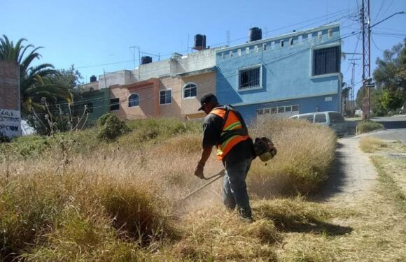 Realiza Dirección de Aseo Público limpieza en avenidas y más de 80 baldíos