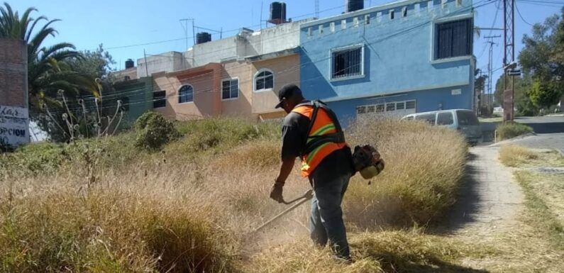 Realiza Dirección de Aseo Público limpieza en avenidas y más de 80 baldíos