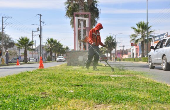 Dan mantenimiento a camellón  del bulevar Félix Ramírez Rentería