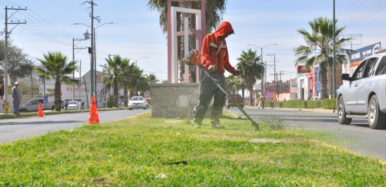 Dan mantenimiento a camellón  del bulevar Félix Ramírez Rentería