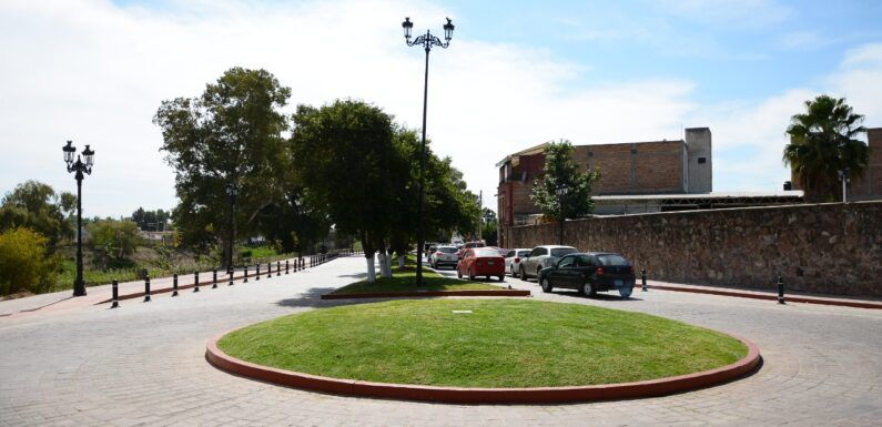 Realiza Dirección de Parques y Jardines mantenimiento de espacios públicos en áreas verdes