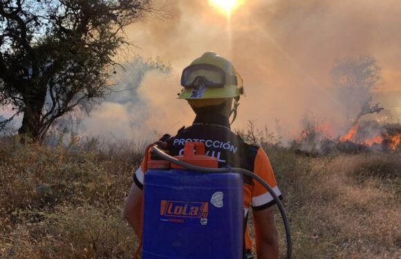 Atiende Protección Civil más de 60 incendios en los últimos dos meses