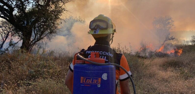 Atiende Protección Civil más de 60 incendios en los últimos dos meses