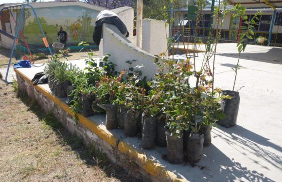 Entrega Gobierno Municipal árboles y plantas a Jardín de Niños “Yoloxocitl”