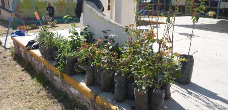Entrega Gobierno Municipal árboles y plantas a Jardín de Niños “Yoloxocitl”