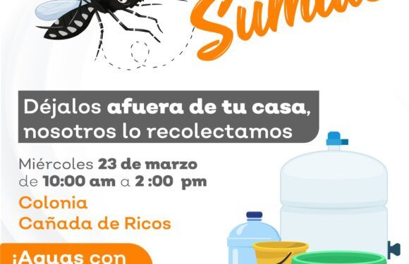 Recolecta Aseo Público Municipal más de 10 toneladas de cacharros en cinco colonias