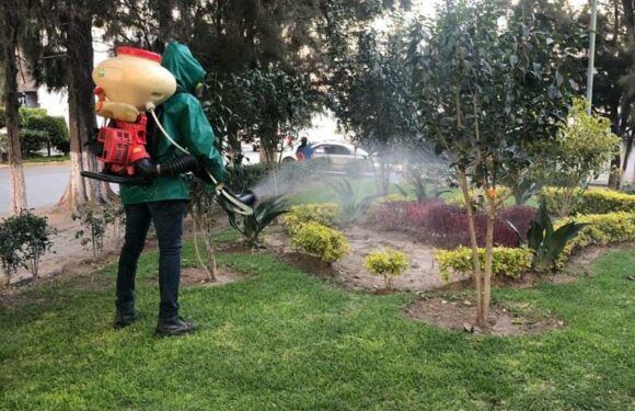 Arranca en Jalisco la Estrategia Nacional contra el Dengue 2025