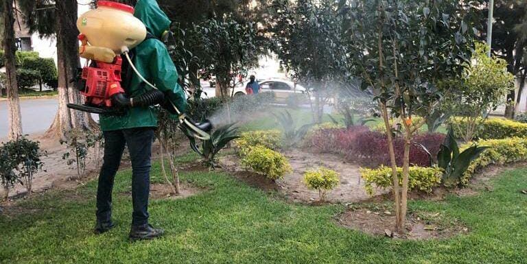 Arranca en Jalisco la Estrategia Nacional contra el Dengue 2025