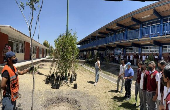 Gobierno Municipal dona árboles a secundaria “Moisés Vega Kegel”