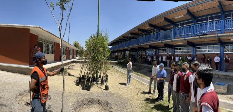 Gobierno Municipal dona árboles a secundaria “Moisés Vega Kegel”  