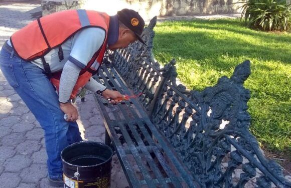 Dan mantenimiento a parques, jardines y espacios públicos de la ciudad